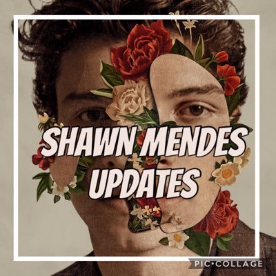 Profile Picture of Shawn Mendes Updates (@Shawn_M_Up) on Twitter