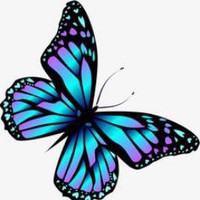 Profile Picture of Laura Stocker (@laura-stocker-5) on Quora