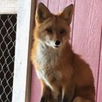 Profile Picture of Julia Glennon (@juliaglennon) on Instagram