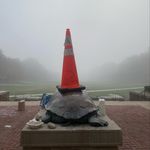 Profile Picture of Ray sees UMD (@ray_sees_umd) on Instagram