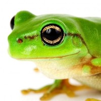 Profile Picture of Lara Sullivan (@lara-sullivan-17) on Quora