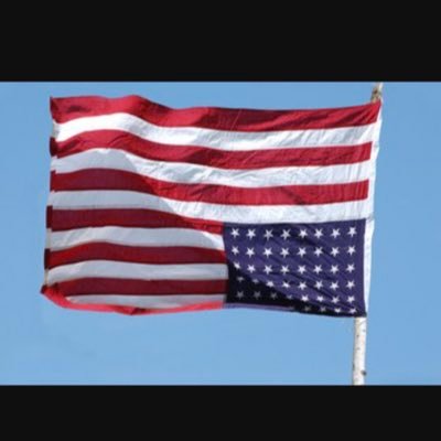 Profile Picture of Alex Robertson (@A_Rob931) on Twitter