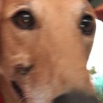 Profile Picture of sam irvine (@sam_irvine2468) on Instagram