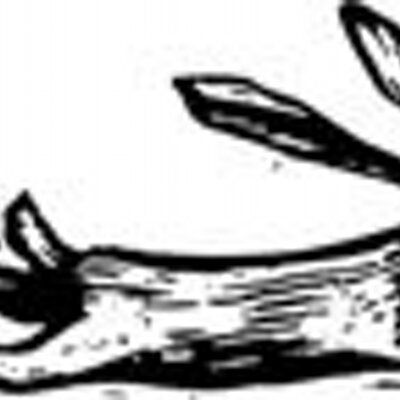 Profile Picture of Thomas Guthrie (@bastianboytg) on Twitter