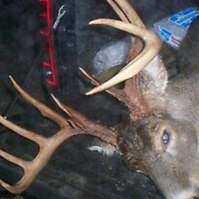 Profile Picture of Blake Whitcomb (@BlakeWhitcomb3) on Twitter