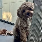 Profile Picture of London Zane McConnell (@londonzane.mcconnell) on Facebook