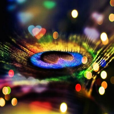 Profile Picture of Rachna Upadhyay (@upadhyay_rachna) on Twitter