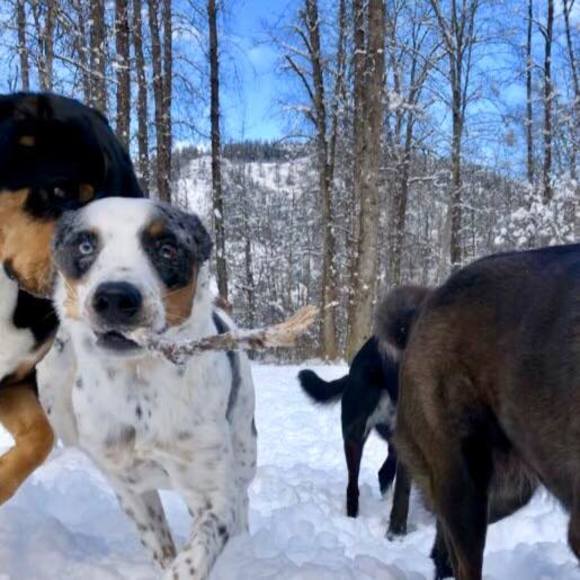 Profile Picture of Melissa Bonneau (@alpineglow) on Poshmark