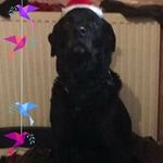 Profile Picture of David Burrough (@david.burrough.376) on Instagram