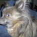 Profile Picture of Donald Hahn (@profile.php) on Facebook