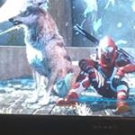 Profile Picture of Scottie Carpenter (@smu_shadowwolf) on Instagram