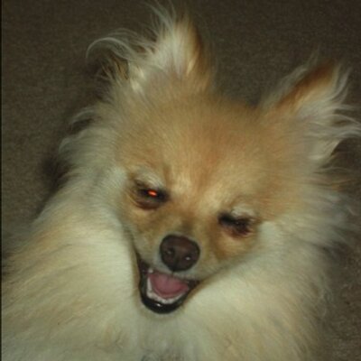 Jessie - Twitter Profile Picture of Jessie (@YunkerDunker) on Twitter