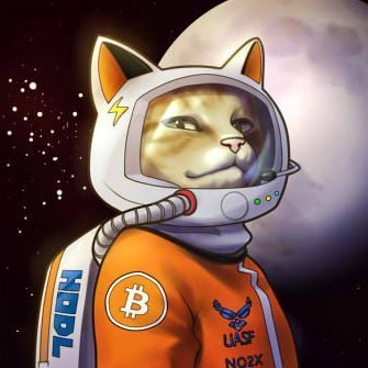 Profile Picture of Gary Abrams (@garytheabrams) on Twitter