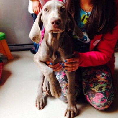 Rene Montaña Alarcon - Twitter Profile Picture of Rene Montaña Alarcon (@renemont2) on Twitter