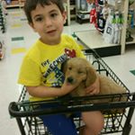 Joseph Castaldo - Instagram Profile Picture of Joseph Castaldo (@j0j0c9182) on Instagram