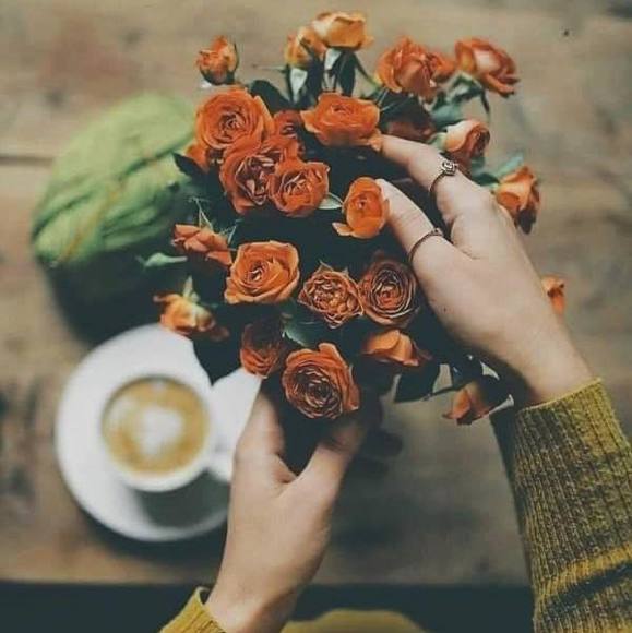 Profile Picture of Na-almarof Almarof (@naalmarof) on Poshmark