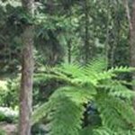 Profile Picture of Vicki Fischer (@fischer.vicki) on Instagram