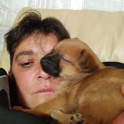 Profile Picture of Gema Barrera Hidalgo (@GemaBarreraHid1) on Twitter