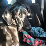 Profile Picture of Miley James! (@miley_james1) on Instagram