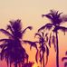 Profile Picture of Steven Buresh (@steven.buresh.52) on Facebook