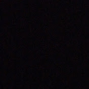 Profile Picture of Tyler Taylor (@tylertaylor3797) on Youtube