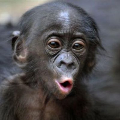 Profile Picture of Ian Laing (@ian_laing2) on Twitter