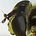 Profile Picture of Simon Randolph (@simonrandolph) on Flickr