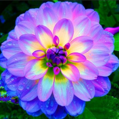 Profile Picture of Sam Sugg (@SamSugg1) on Twitter