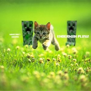 Profile Picture of Sam Currier (@EndermanPlayz32) on Twitter