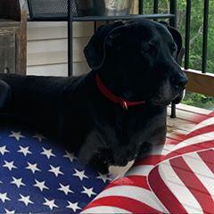 Profile Picture of Jonathan Snowden (@@jonathansnowden1980) on Tiktok