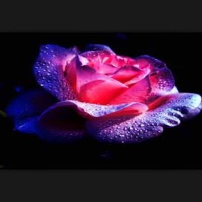Profile Picture of Sheri Mcdaniel (@sherimcdaniel17) on Twitter