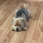 Profile Picture of Debbie Weinstein (@namaste1950) on Instagram