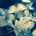 Profile Picture of Joseph Molosky (@joseph.molosky.315) on Facebook