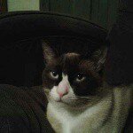 Profile Picture of Richard Salazar  (Tio) (@zappyou45) on Instagram