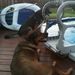 Profile Picture of Terry Seeger Cramer (@terryseegercram) on Pinterest