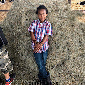 Tanisha Stephens - Youtube Profile Picture of Tanisha Stephens (@tanishastephens2179) on Youtube