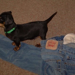 Profile Picture of Jesse Buse (@jessebuse1994) on Myspace
