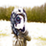 Profile Picture of maria.reaney (@maria.reaney) on Flickr