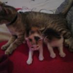 Profile Picture of jacqueline fischer (@jacquelinefischer2004) on Instagram