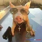 Jeremy Zietek - Instagram Profile Picture of Jeremy Zietek (@jeremyzietek) on Instagram