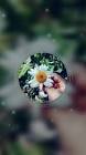 Profile Picture of   Kürtçe bakışalım seninle... (@yaren.073) on Tiktok