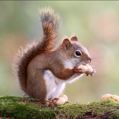 Profile Picture of Jace Garrett (@JaceGarrett8) on Twitter