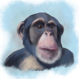 Profile Picture of yuri kucherenko (@mokrbli) on Pinterest
