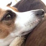 Profile Picture of Colette Rodriguez (@colette_rodriguez) on Instagram