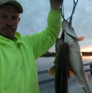Profile Picture of Gregg Madsen (@gregg.madsen.3) on Facebook