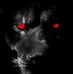 Profile Picture of Martin Hanna (@martin.hanna.1293) on Facebook