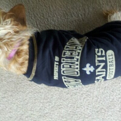 Profile Picture of Laura Stubbs (@LalaLily1970) on Twitter