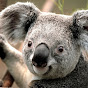 Profile Picture of FuzzyOnes1 (@@FuzzyOnes1) on Tiktok