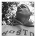 Profile Picture of Alexander Venger (@alexander.venger.1) on Facebook