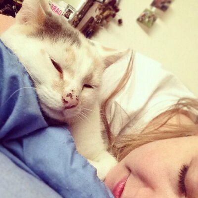 Profile Picture of Shawna Drewer (@shawnaelle) on Twitter